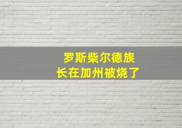 罗斯柴尔德族长在加州被烧了