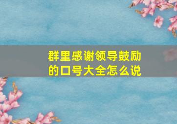 群里感谢领导鼓励的口号大全怎么说