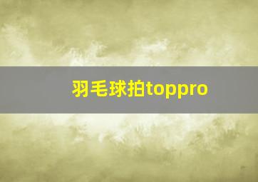 羽毛球拍toppro