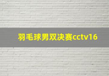 羽毛球男双决赛cctv16