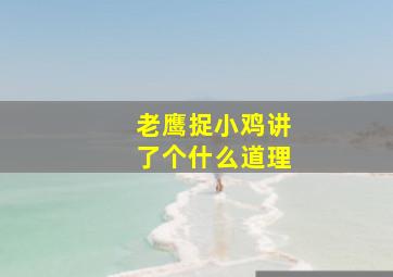 老鹰捉小鸡讲了个什么道理