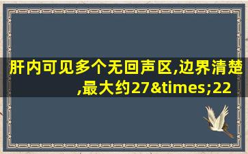 肝内可见多个无回声区,边界清楚,最大约27×22mm