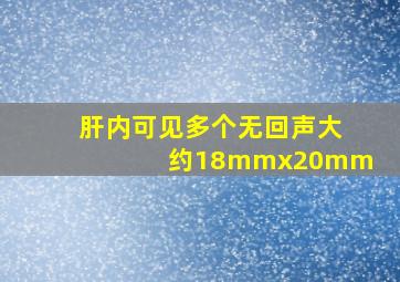 肝内可见多个无回声大约18mmx20mm