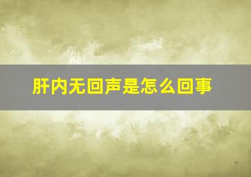 肝内无回声是怎么回事