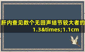 肝内查见数个无回声结节较大者约1.3×1.1cm