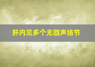 肝内见多个无回声结节