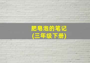 肥皂泡的笔记(三年级下册)