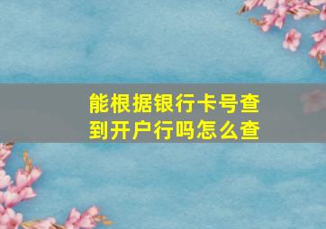 能根据银行卡号查到开户行吗怎么查