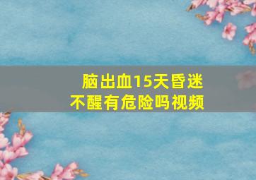 脑出血15天昏迷不醒有危险吗视频