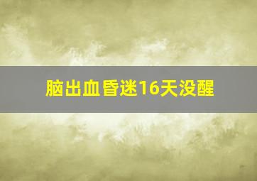 脑出血昏迷16天没醒