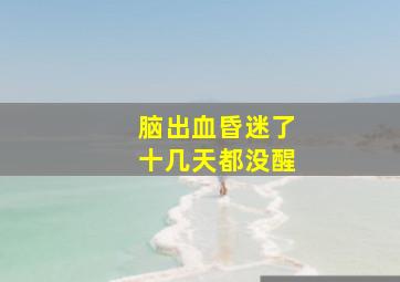 脑出血昏迷了十几天都没醒