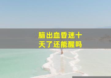 脑出血昏迷十天了还能醒吗