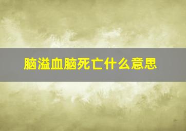 脑溢血脑死亡什么意思