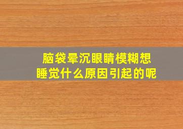 脑袋晕沉眼睛模糊想睡觉什么原因引起的呢