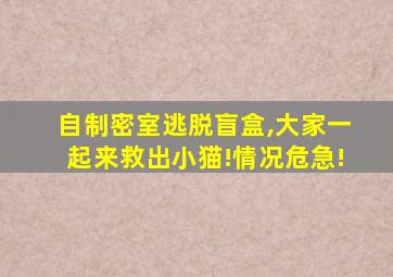 自制密室逃脱盲盒,大家一起来救出小猫!情况危急!