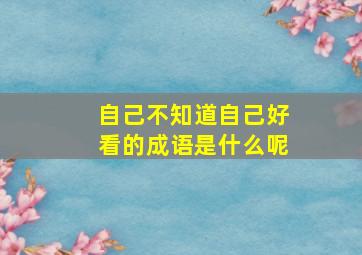 自己不知道自己好看的成语是什么呢