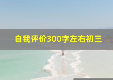 自我评价300字左右初三