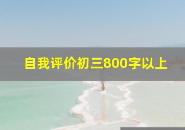 自我评价初三800字以上