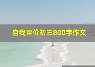 自我评价初三800字作文