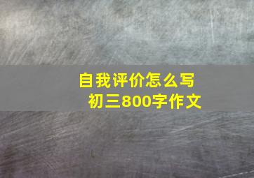 自我评价怎么写初三800字作文