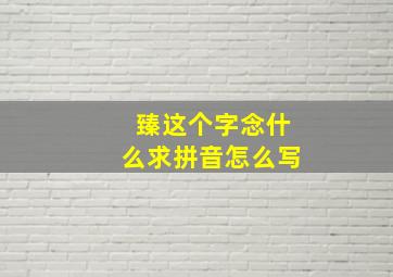 臻这个字念什么求拼音怎么写