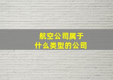 航空公司属于什么类型的公司