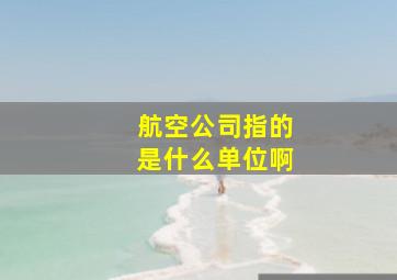 航空公司指的是什么单位啊