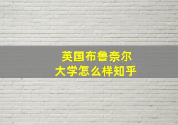 英国布鲁奈尔大学怎么样知乎