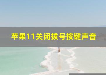 苹果11关闭拨号按键声音