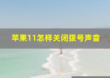 苹果11怎样关闭拨号声音