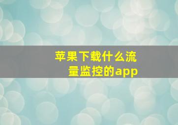 苹果下载什么流量监控的app