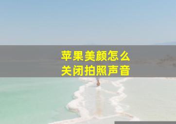 苹果美颜怎么关闭拍照声音