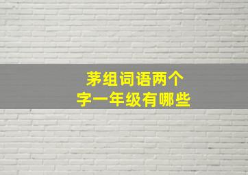 茅组词语两个字一年级有哪些