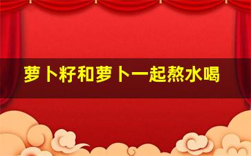 萝卜籽和萝卜一起熬水喝