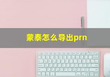 蒙泰怎么导出prn