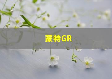 蒙特GR