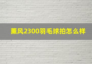 薰风2300羽毛球拍怎么样