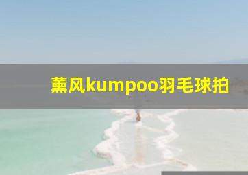 薰风kumpoo羽毛球拍