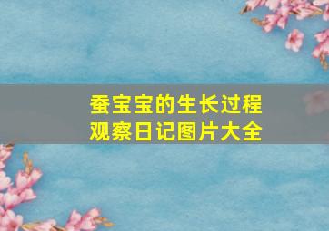 蚕宝宝的生长过程观察日记图片大全