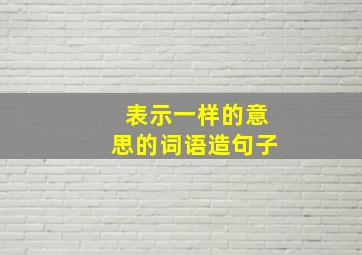 表示一样的意思的词语造句子