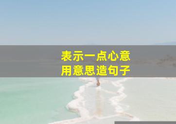 表示一点心意用意思造句子