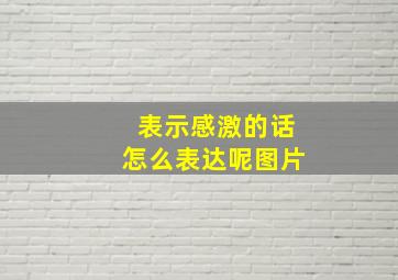 表示感激的话怎么表达呢图片