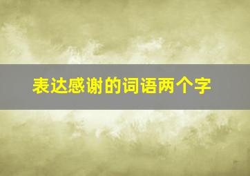 表达感谢的词语两个字