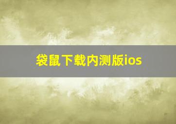 袋鼠下载内测版ios