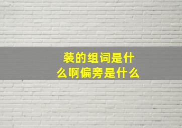 装的组词是什么啊偏旁是什么