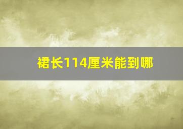 裙长114厘米能到哪