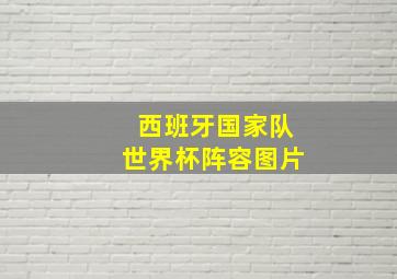 西班牙国家队世界杯阵容图片