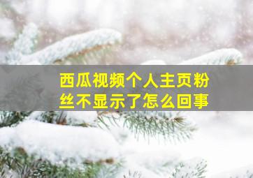 西瓜视频个人主页粉丝不显示了怎么回事