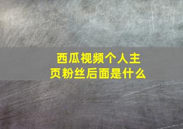 西瓜视频个人主页粉丝后面是什么