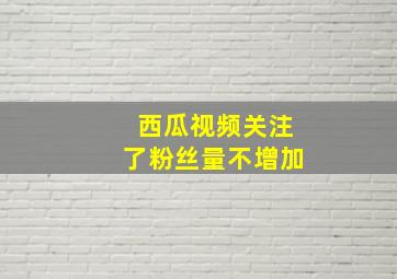 西瓜视频关注了粉丝量不增加